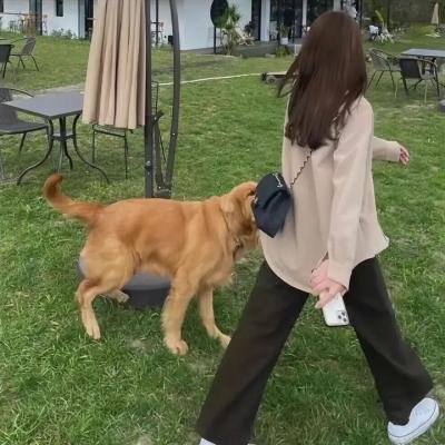 元首的面孔